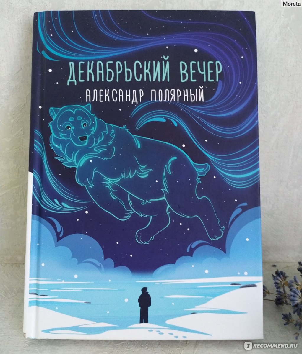 Декабрьский вечер. Александр Полярный - «Грустно и со смыслом. История,  которая читается очень быстро, но запоминается надолго.» | отзывы