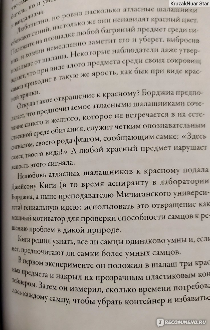 Эти гениальные птицы. Дженнифер Акерман - «Надоел стендап? Возьмите эту  книгу! Шалашник и другие птицы вас точно повеселят!» | отзывы