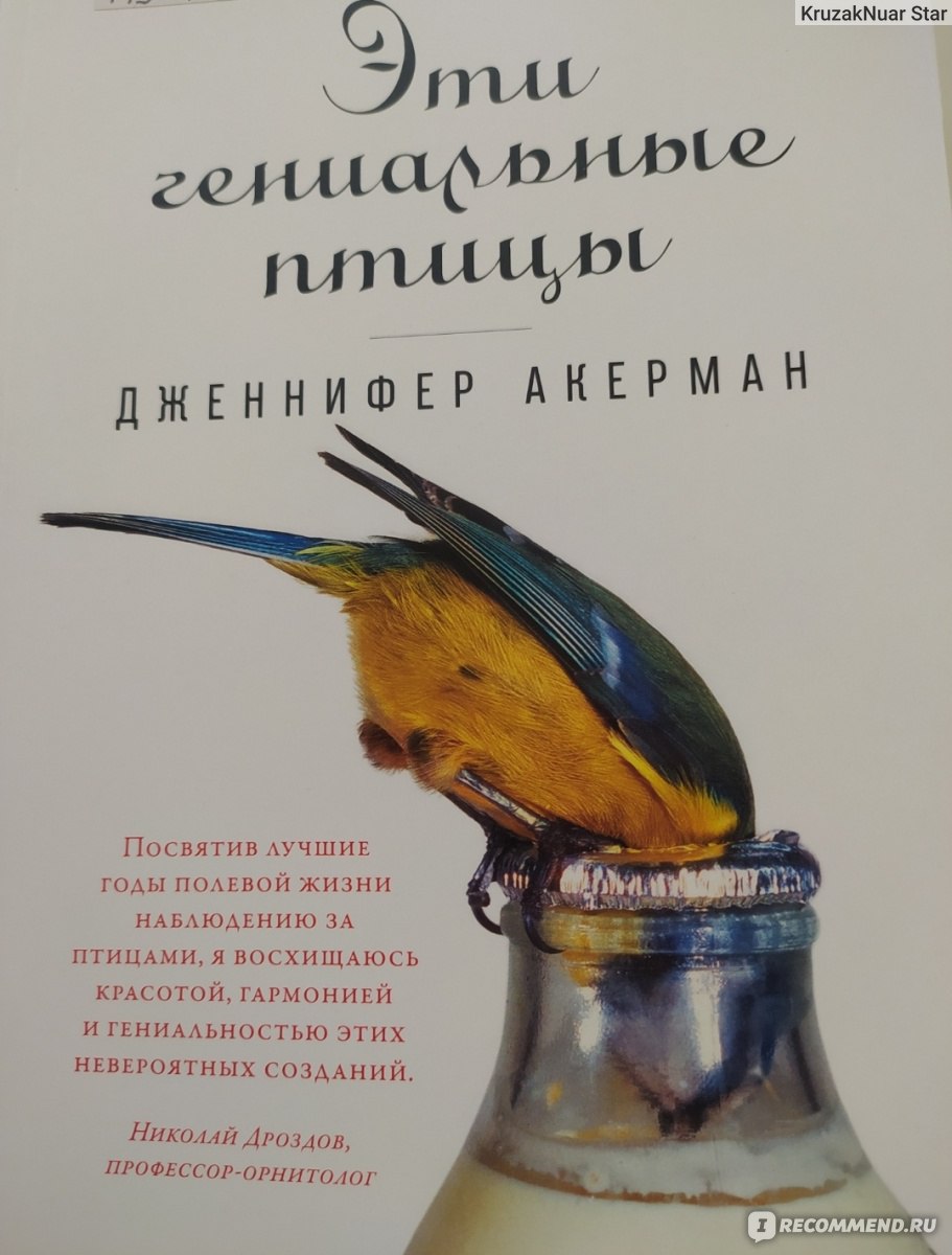 Эти гениальные птицы. Дженнифер Акерман - «Надоел стендап? Возьмите эту  книгу! Шалашник и другие птицы вас точно повеселят!» | отзывы