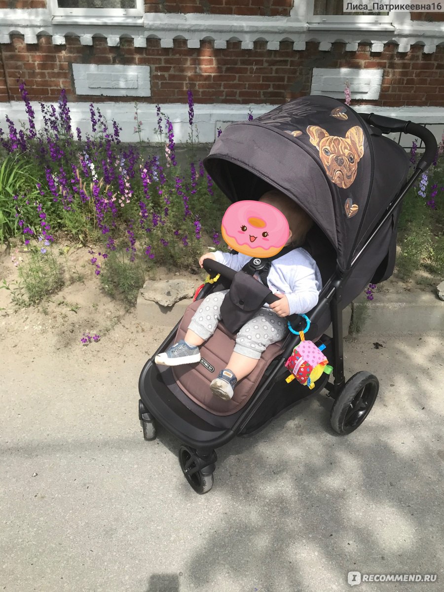 Happy baby ultima v2 x4. BABYHIT Voyage Air. Коляска Беби хит Вояж. Коляска Беби хит Вояж АИР. Коляска Джунама диамонд 2 в 1.