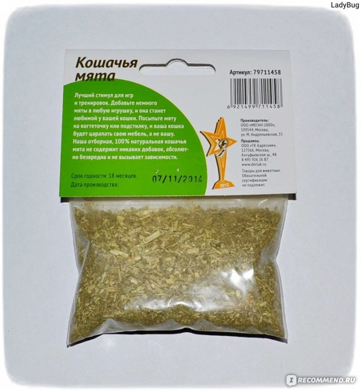Кошачья мята сколько можно давать. Кошачья мята. Альпийские луга кошачья мята спрей. Мята сушёная перекресток. Кошачья мята сколько можно давать.