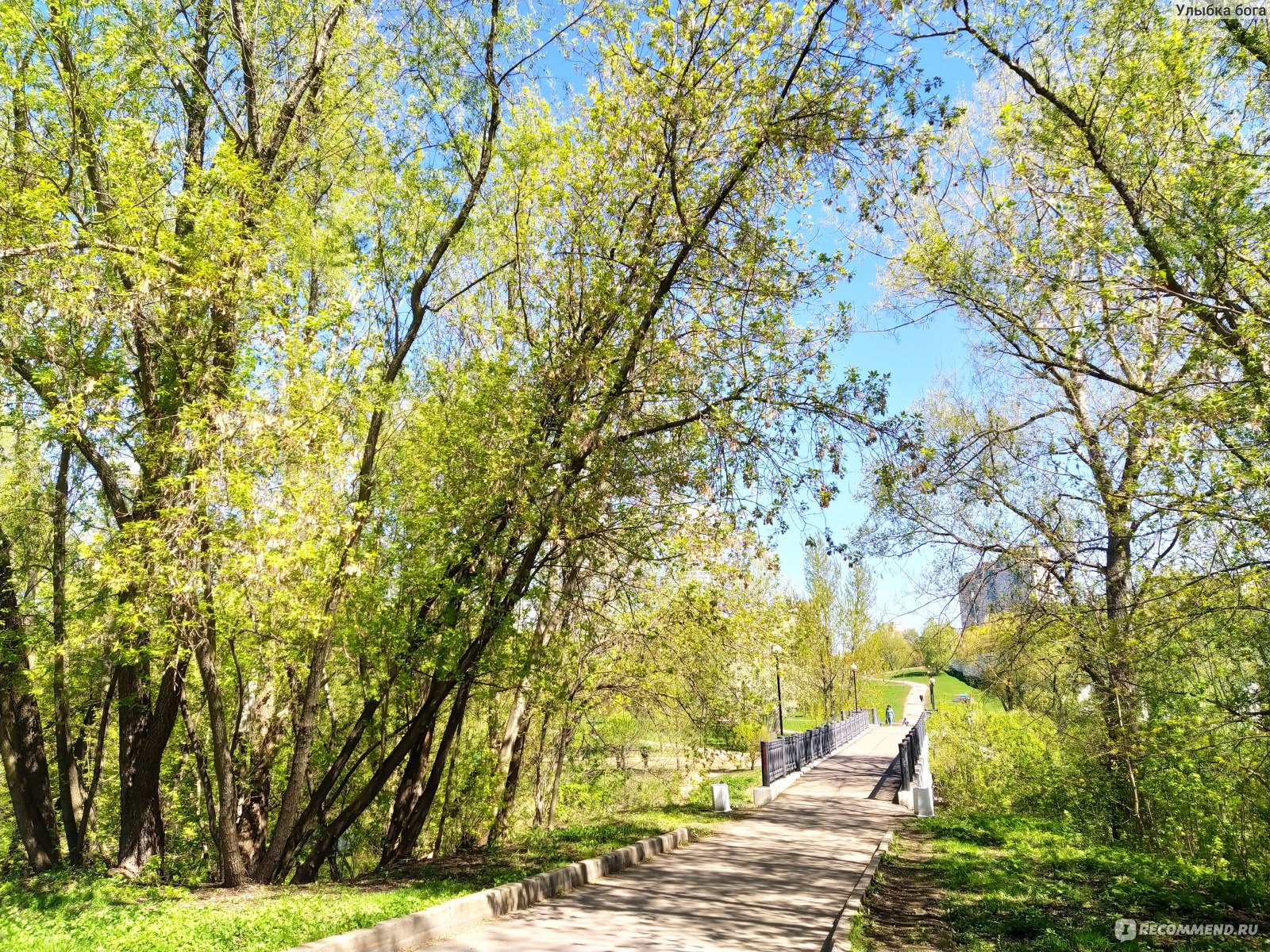 парк у Ростокинского Акведука. мостик через Яузу Москва.