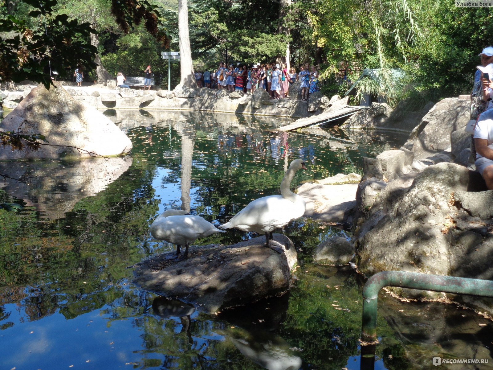 пионерский парк в алупке