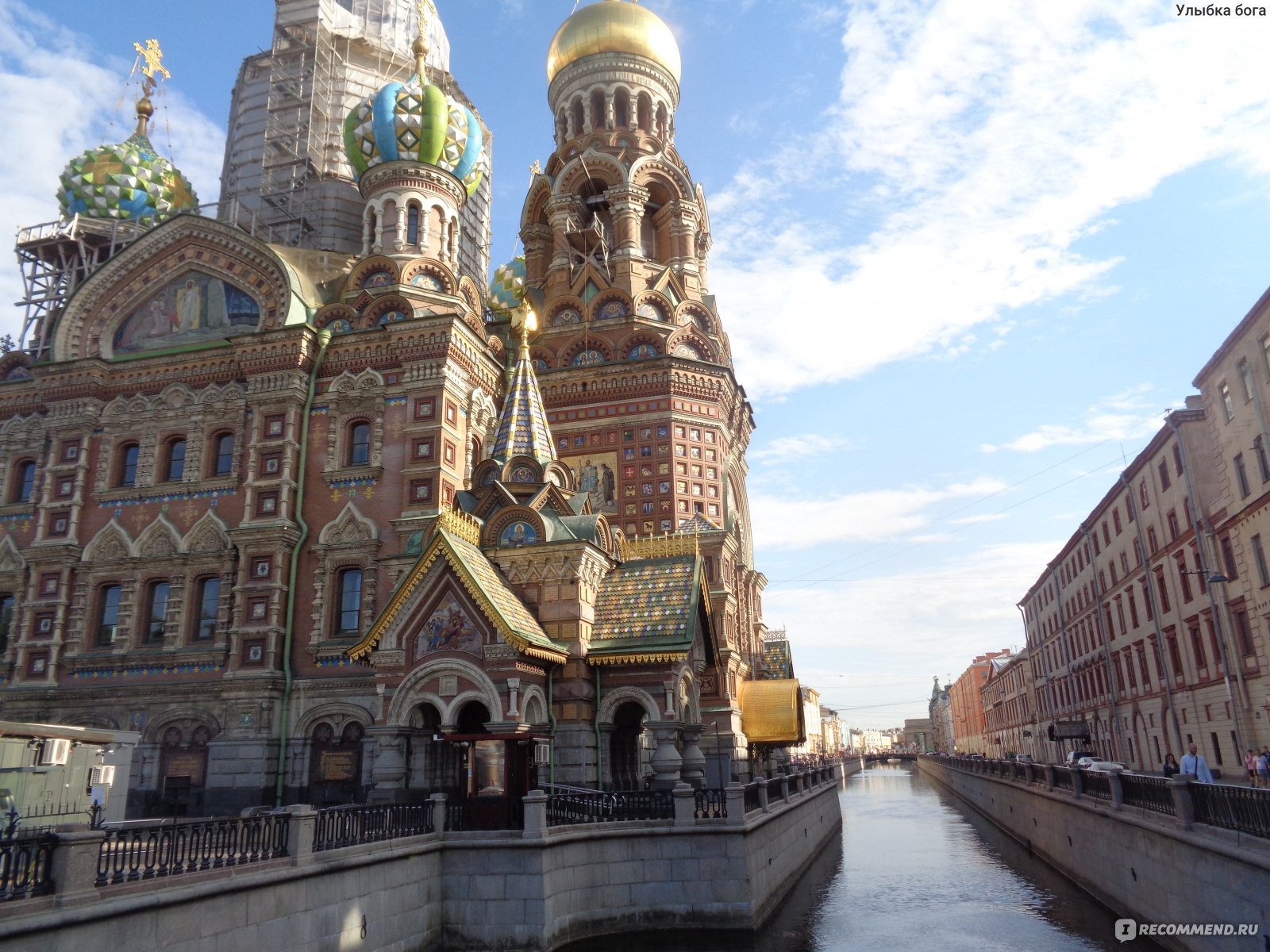 Осенний Петербург спас на крови