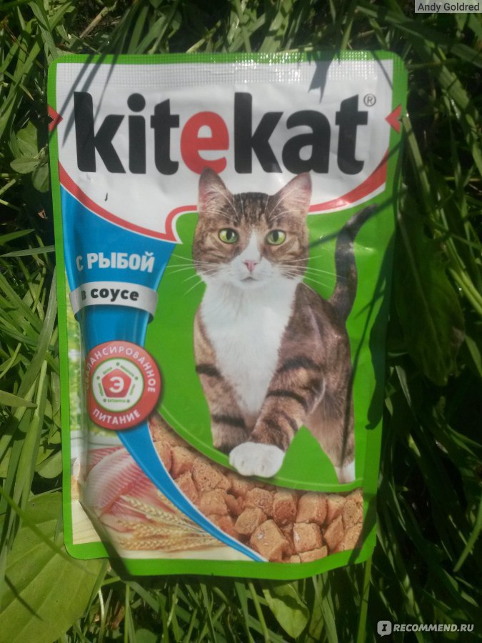 Kitekat с рыбой в соусе