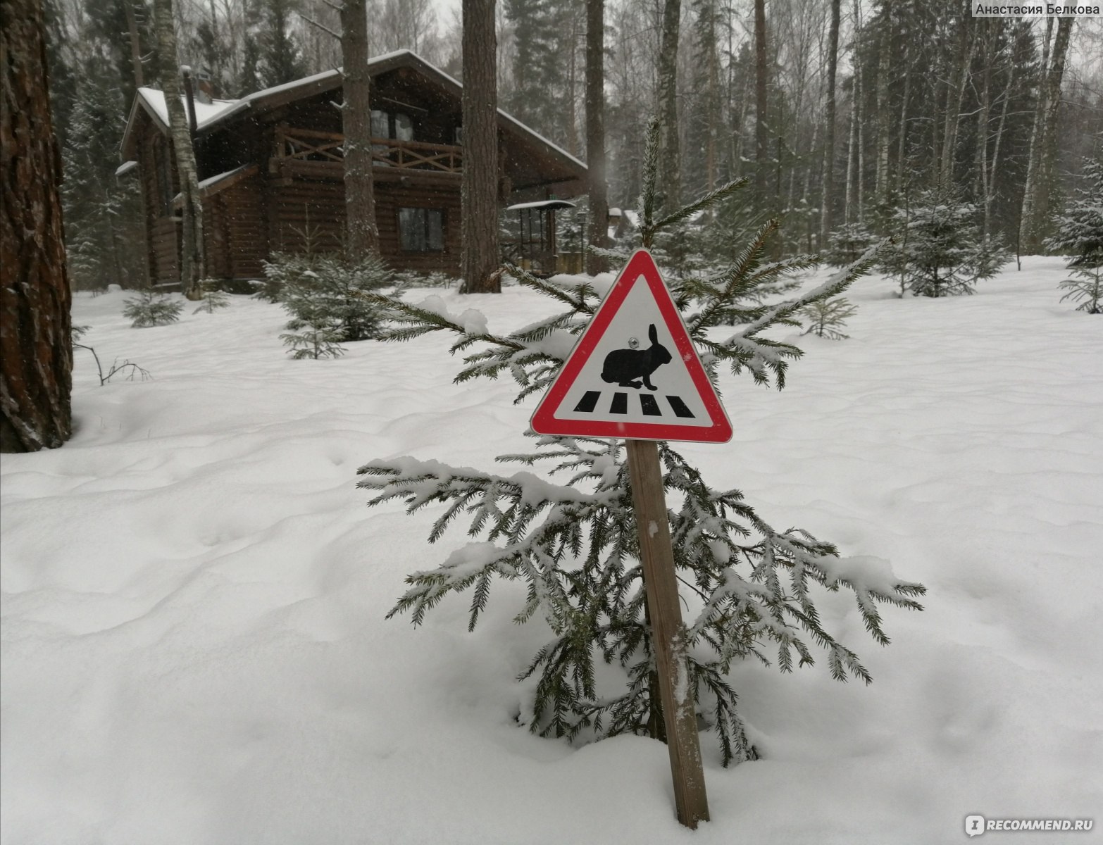 Эко отель Романов Лес, Кострома - «Чем заняться зимой в сказочном 