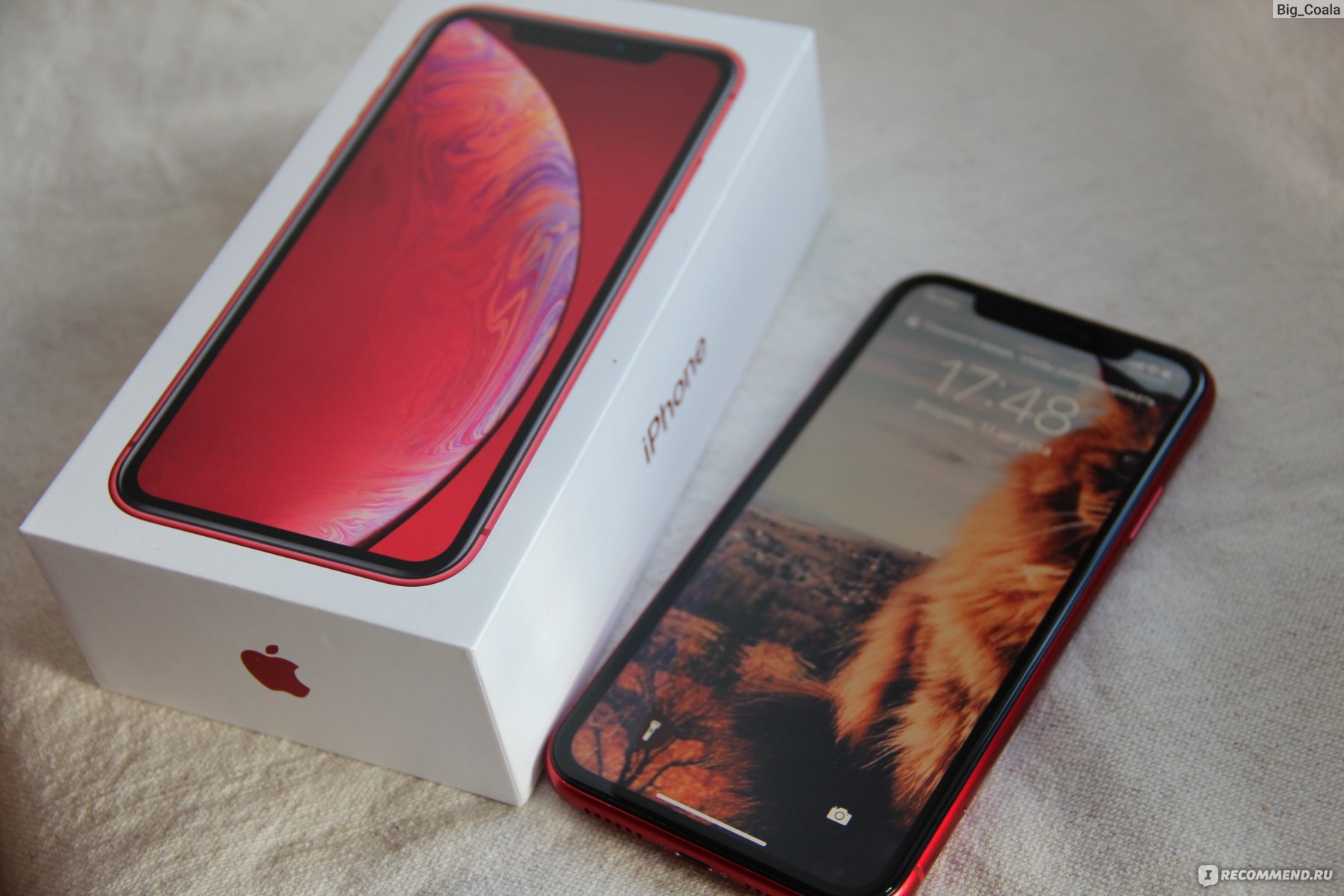 Смартфон Apple iPhone XR - «8 месяцев с XR. Через сколько падений экран  всё-таки разобьется? Сколько будет стоить замена? Что такое короткое  замыкание и ответы на другие вопросы» | отзывы