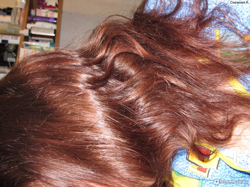 Пряный шоколад. Гарньер корица. Цвет волос корица. Краска цвет корица. Пряная карамель на волосах.