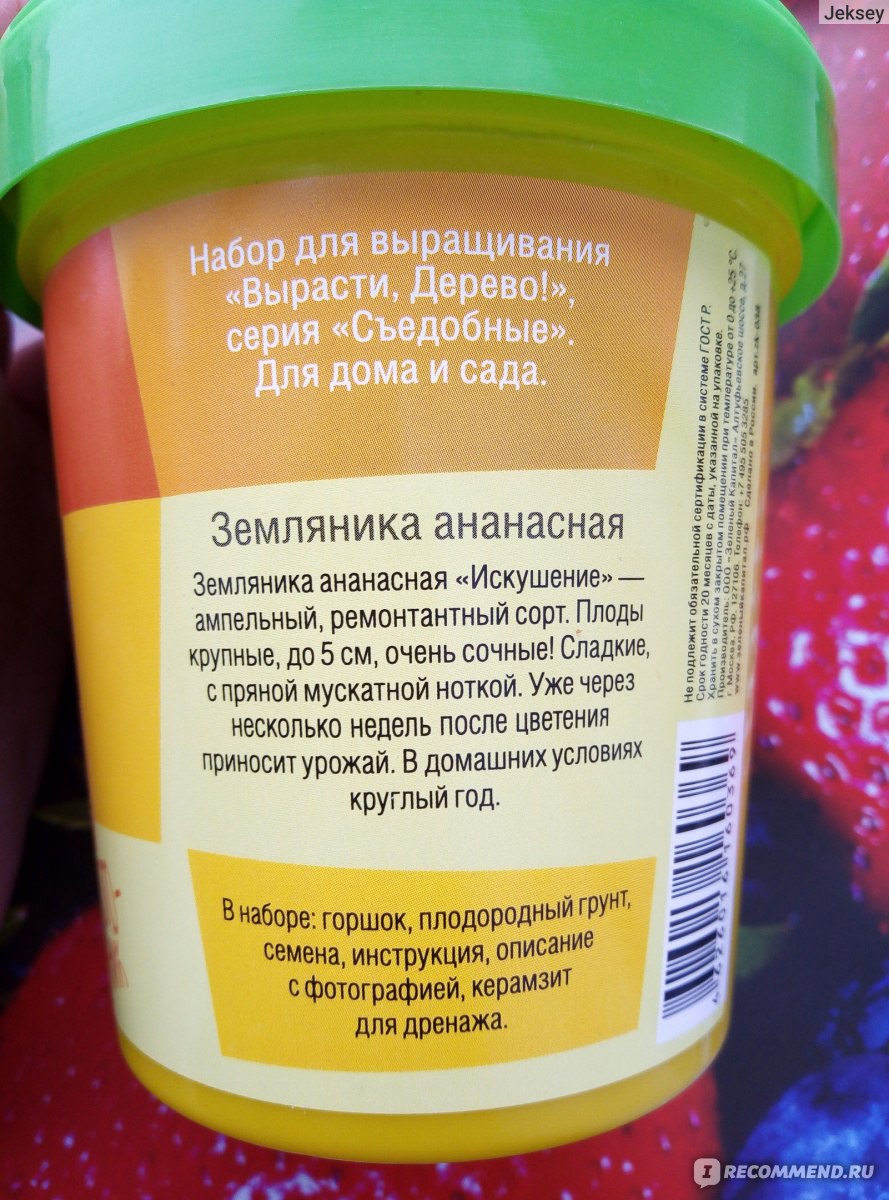 Вырасти, дерево! Земляника ананасная - «Как вырастить дома землянику -  купить такой набор! И хоть я до сих пор не знаю, почему у нее вянут  листочки, она мне скорее понравилась, чем нет.