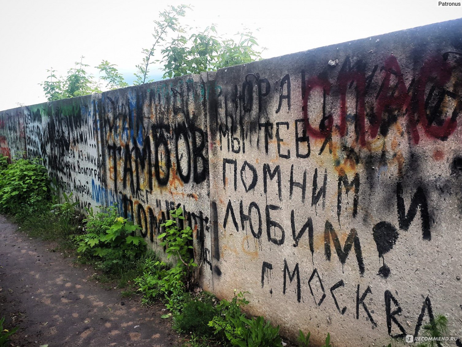 Левобережное (Восточное) кладбище, Воронеж - «Человек жив, пока жива  память, поэтому Юра Хой из Сектор Газа будет жить вечно» | отзывы