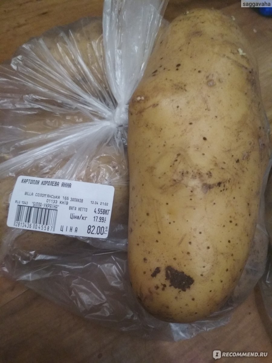 Овощи Картофель - «Кто положил в борщ сахар? Картошка сорта Королева Анна -  выбор для мужиков, которым чистка картошки хуже каторги » | отзывы