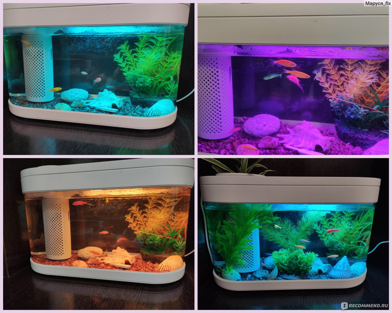 Акваферма Xiaomi Geometry Fish Tank Aquaponics Ecosystem C180 отзывы