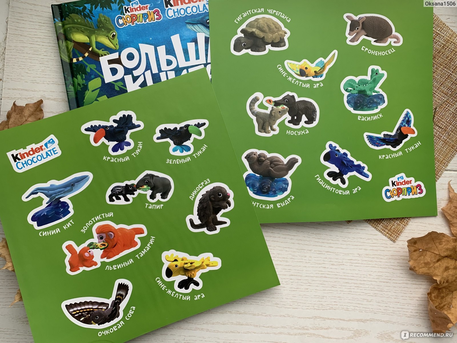 Коллекция киндер natoons. Natoons список животных. Kinder natoons 2020 вся коллекция. Киндер натунс 2021 вся коллекция. Natoons список животных.