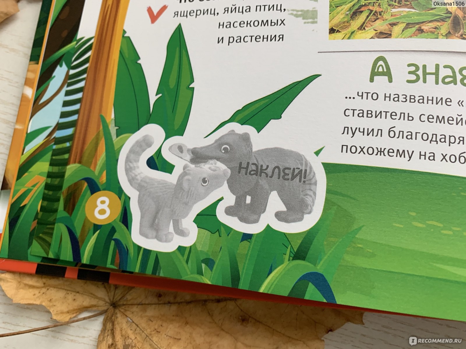 Большая книга Natoons. Бренд Kinder - «Книга- лучший друг человека. Крутой  и полезный подарок от Kinder. Узнаём много нового о животных, занесённых в  Красную книгу» | отзывы