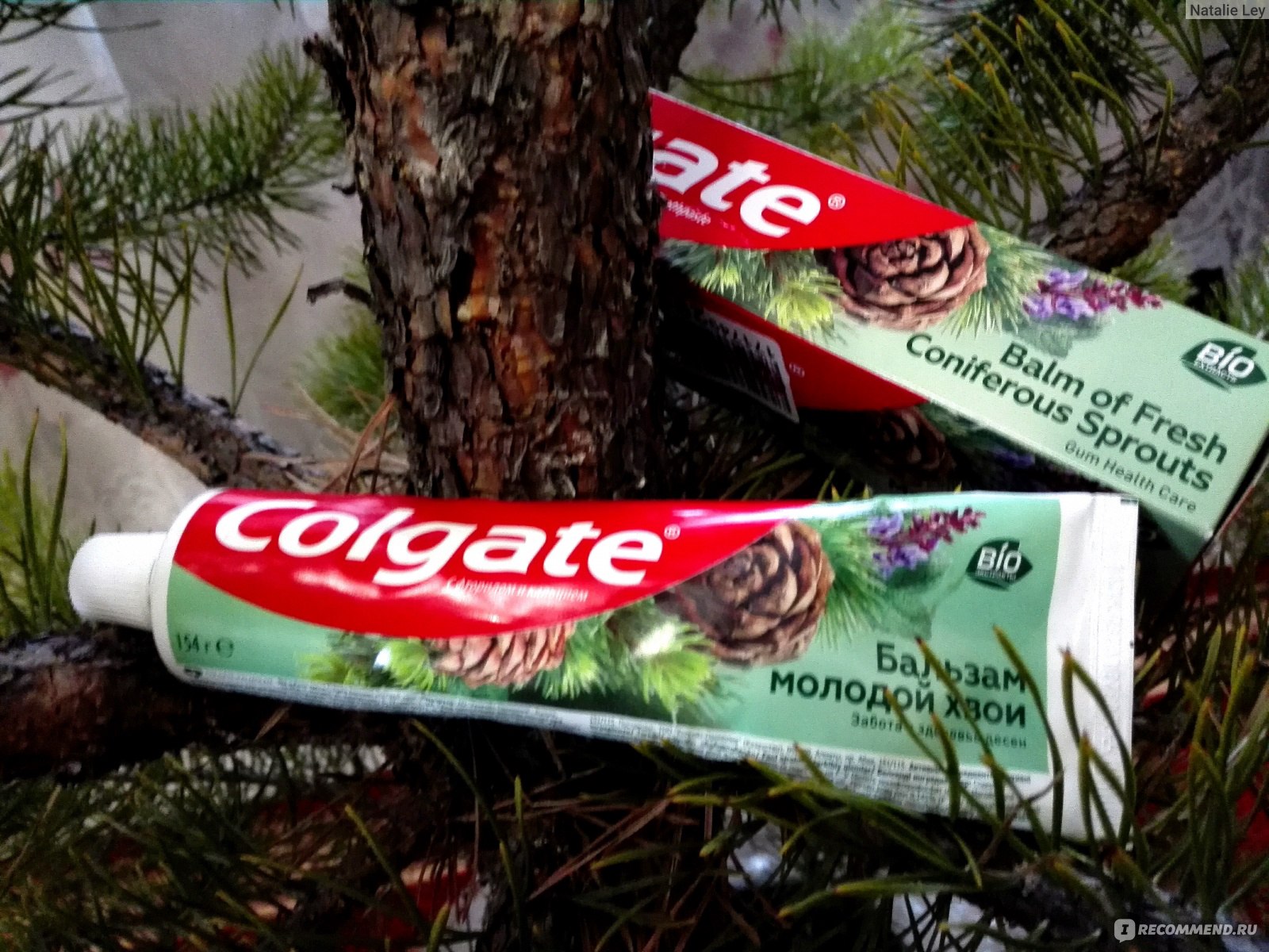 Зубная паста Colgate Бальзам молодой хвои - «Хорошая по свойствам зубная  паста Colgate 