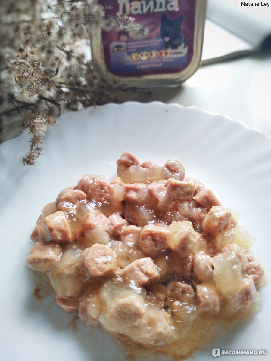 Корм для собак «Глобал Пет Фуд» Лайда сочный кусочки мяса с индейкой ...