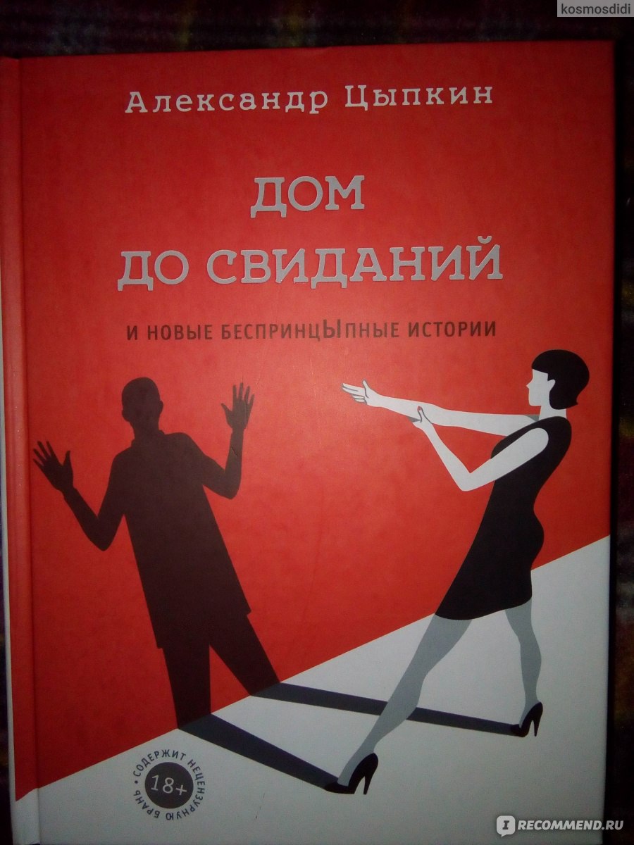 Дом до свиданий и новые беспринцЫпные истории. Александр Цыпкин - «Тупизна»  | отзывы