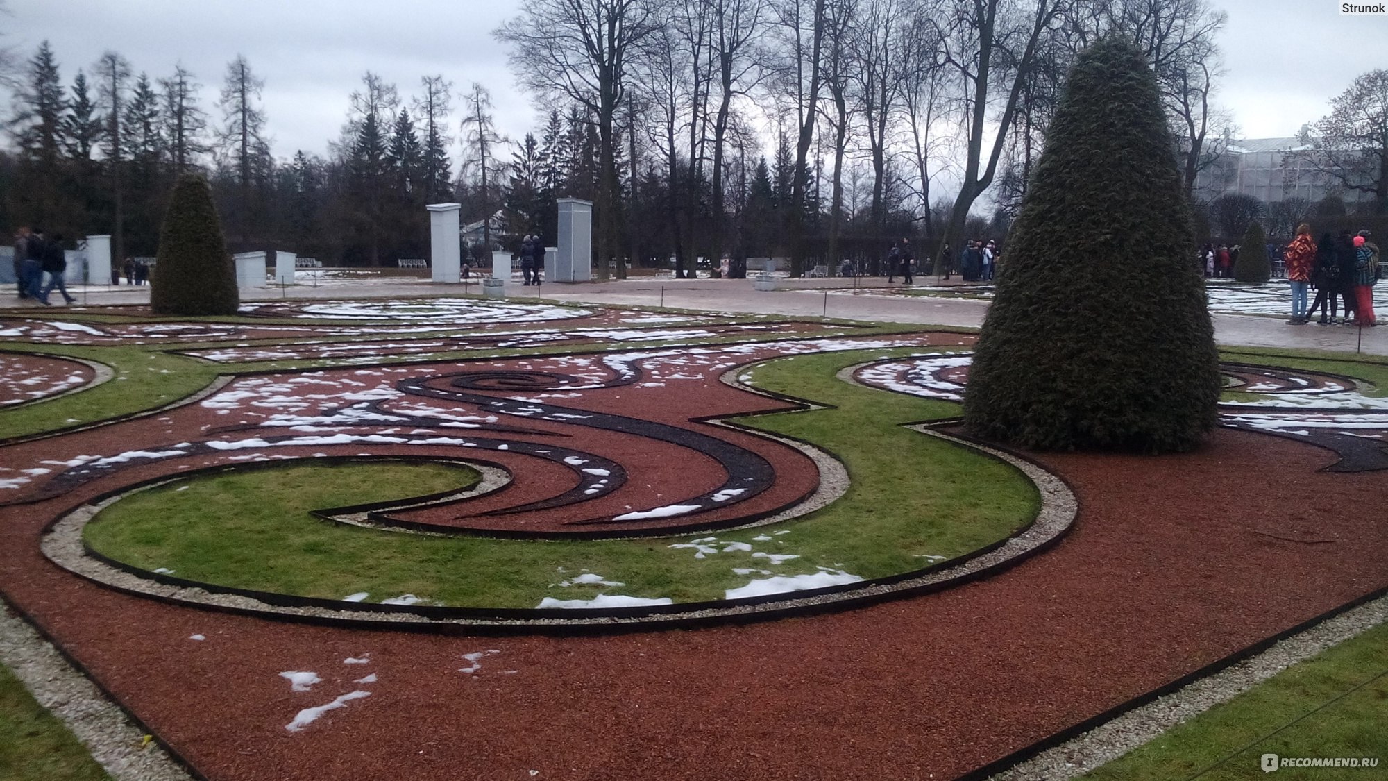 г. Пушкин, Царское Село - «Город Пушкин, прекрасен летом и зимой.» | отзывы