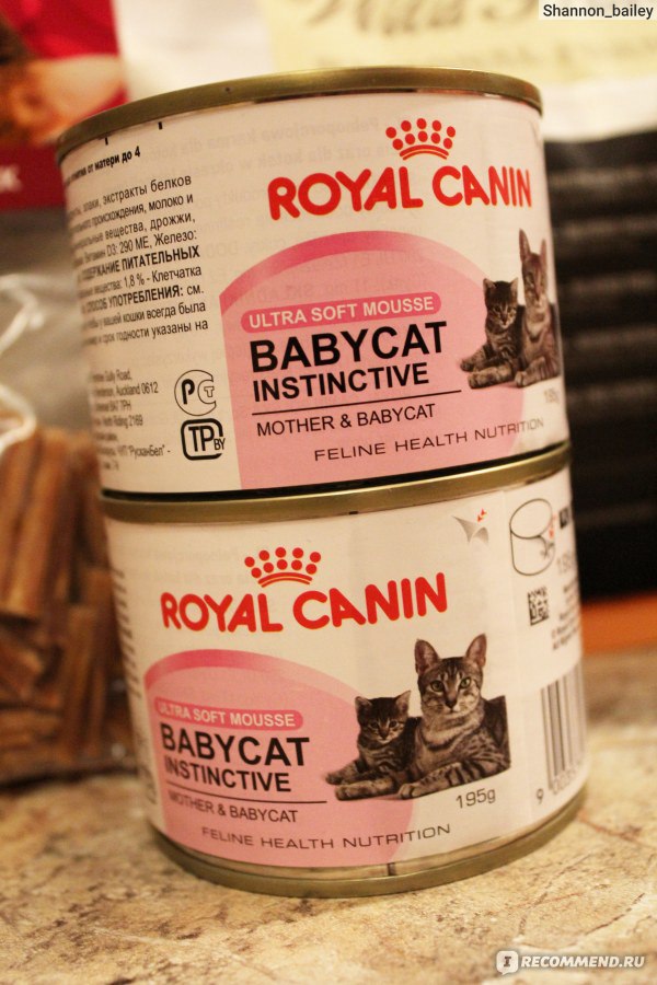Сухой корм Royal Canin для кошек. Сухой корм Royal Canin Babycat. Сухой корм для котят Роял Канин.