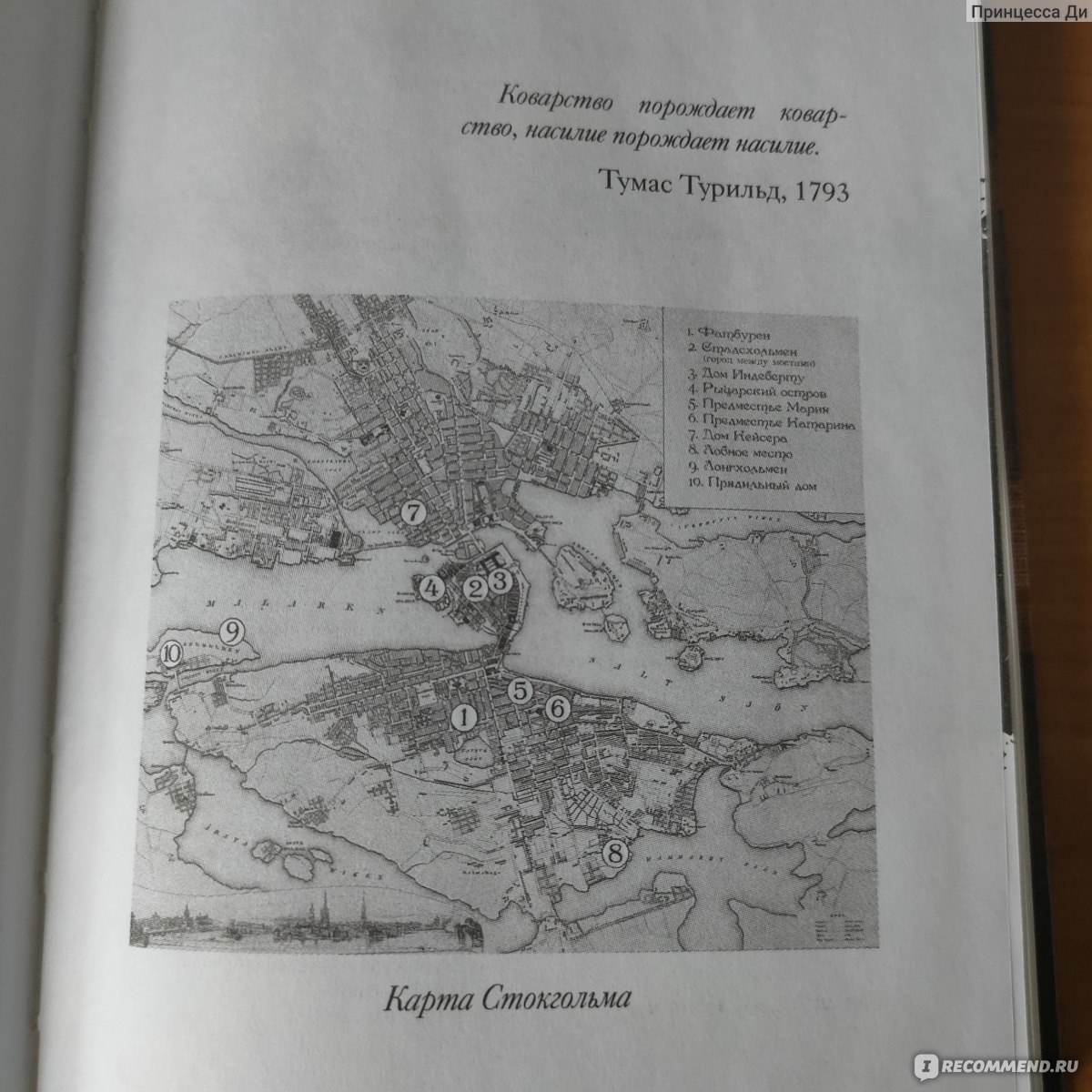 1793. История одного убийства. Никлас Натт-о-Даг - «Исторический детектив  без романтизации эпохи» | отзывы