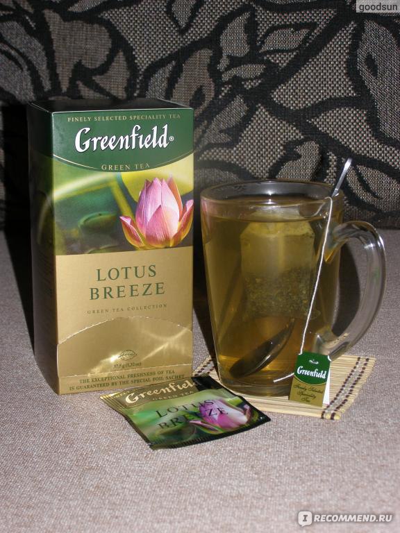 Greenfield lotus breeze куда пропал