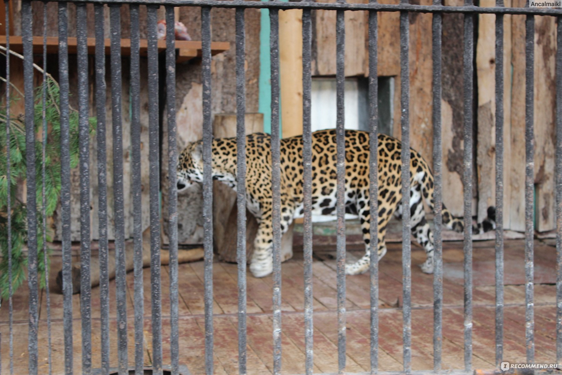 Зоопарк на Петроградке
