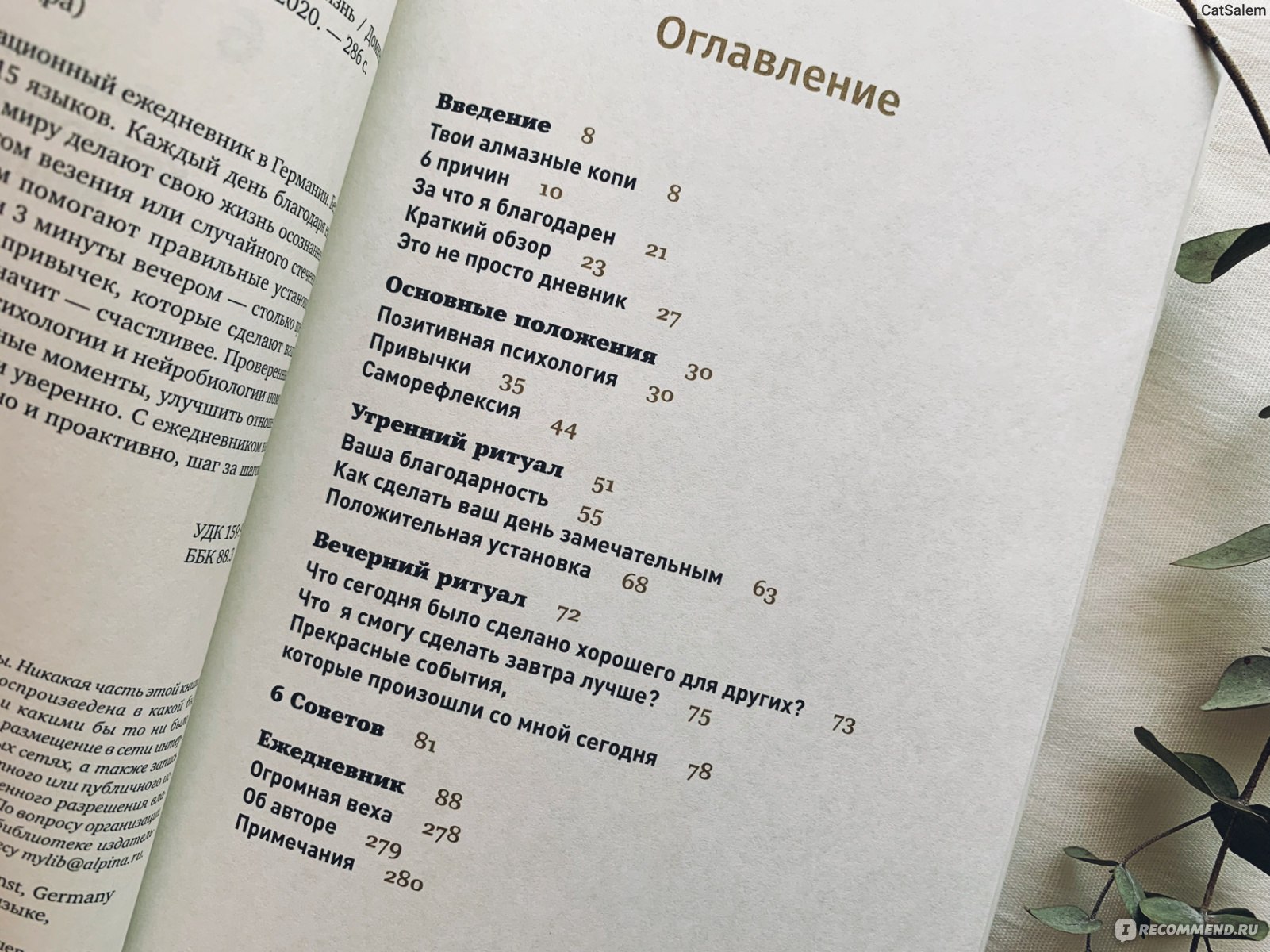 6 минут. Ежедневник, который изменит вашу жизнь. Спенст Доминик - «Сказка  про голого короля в современной интерпретации. Или как одна девочка меняла  свою жизнь к лучшему » | отзывы