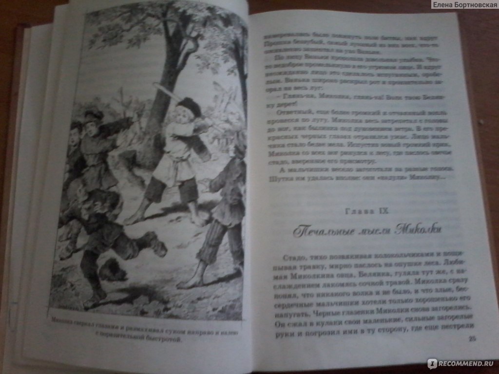 Дом шалунов. Лидия Чарская - «Книга для мальчиков и про мальчиков» | отзывы