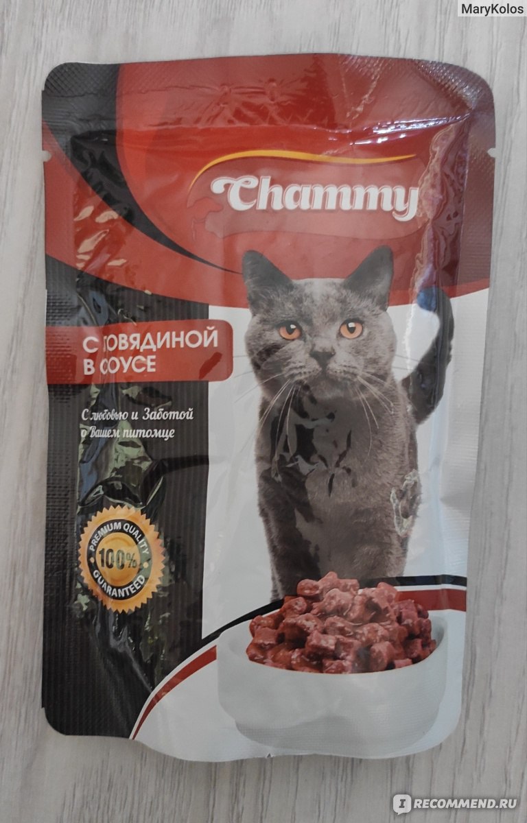 Корм для кошек Chammy с говядиной в соусе - «Кошачий корм из магазина Чижик  за 12 рублей. Неужели кошка будет это есть?» | отзывы