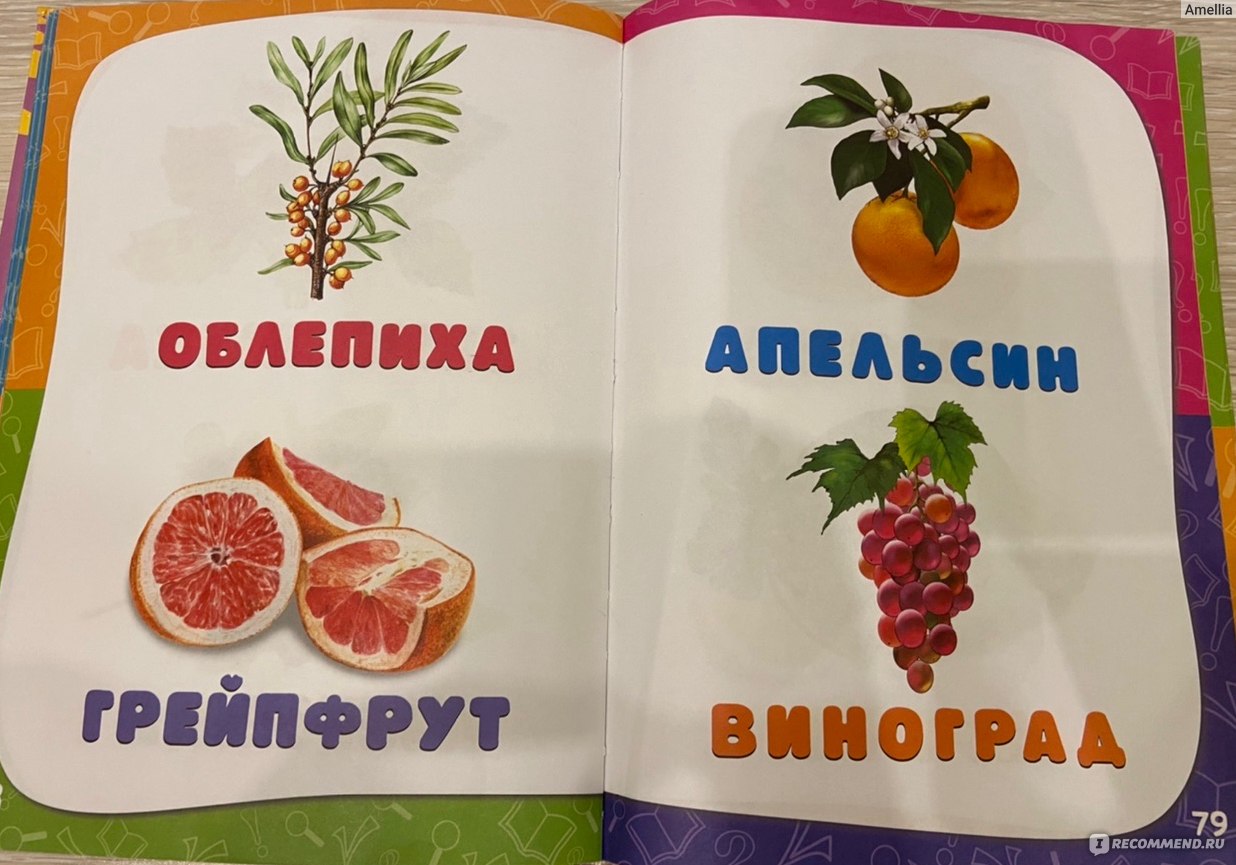 Годовой курс занятий для детей от рождения до года. Анастасия Далидович,  Таисия Мазаник, Надежда Цивилько - «Удобный формат. Хорошая подборка песен  в диске.» | отзывы