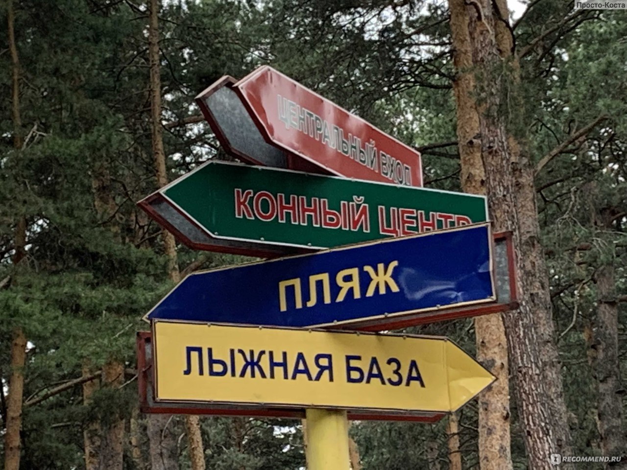 зенковский парк фото в