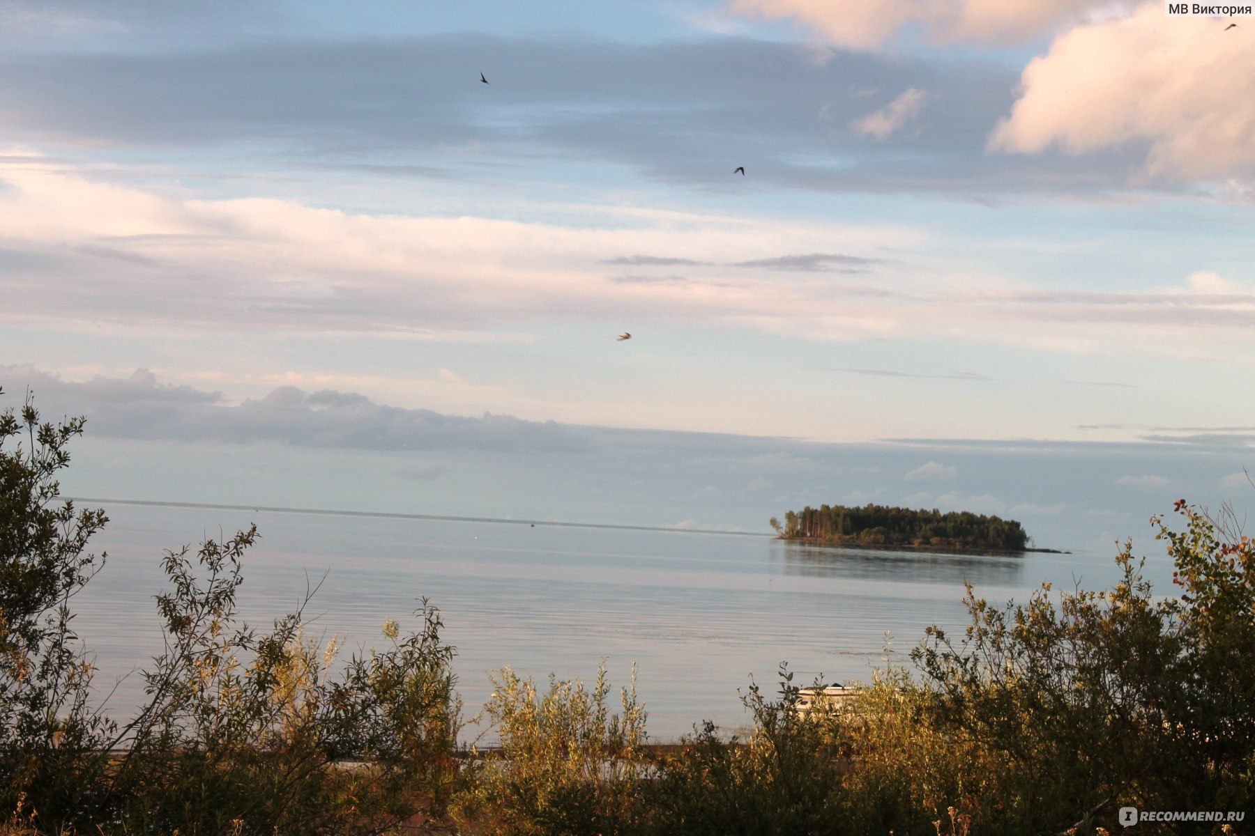 Россия, Ярославская область, Рыбинский район, Рыбинское водохранилище - « Море в 350км от Москвы. Реально? Ну почти…Почти море.» | отзывы