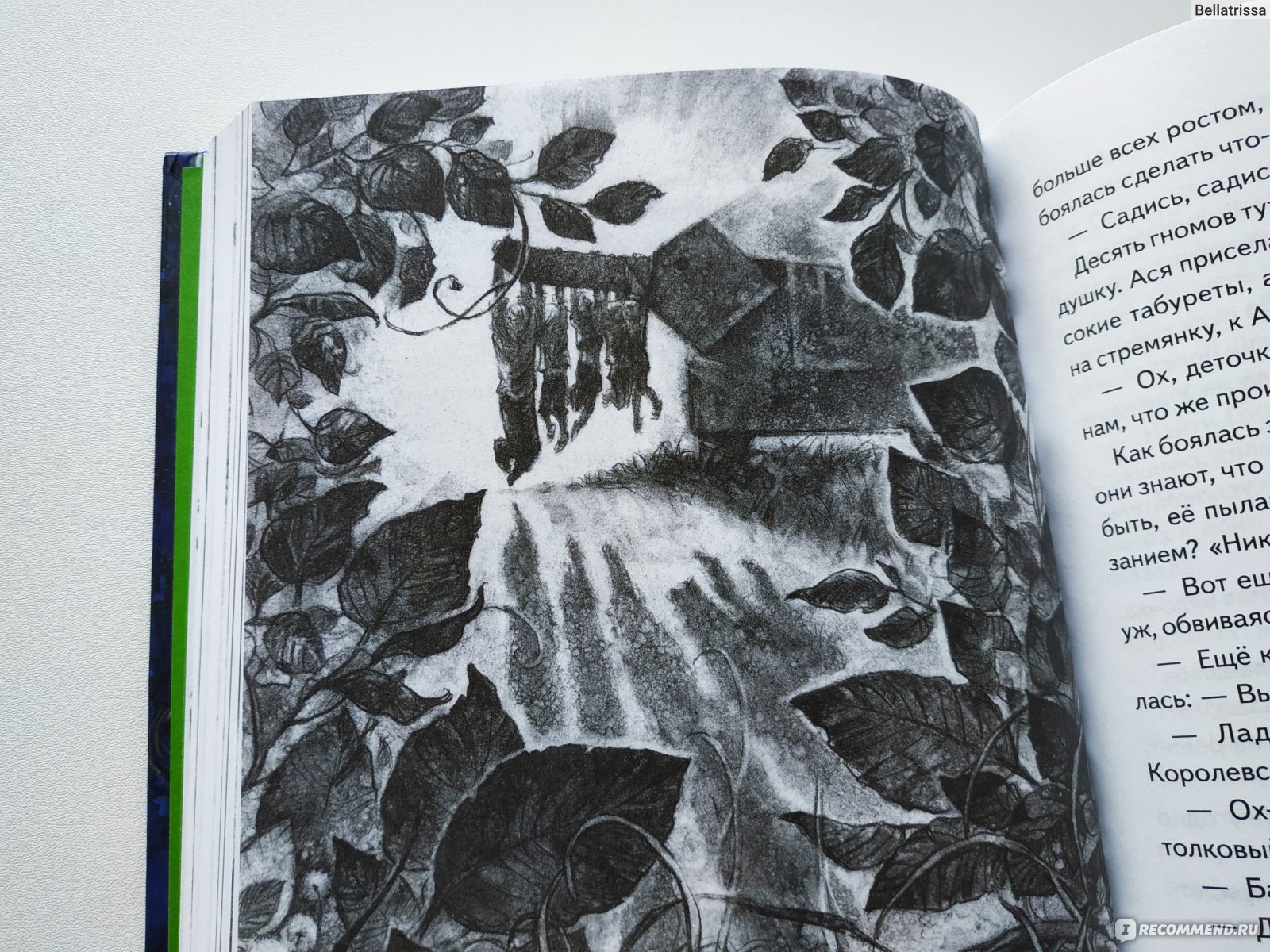 Книга про эльфийку выращивающую растения и призрака графа
