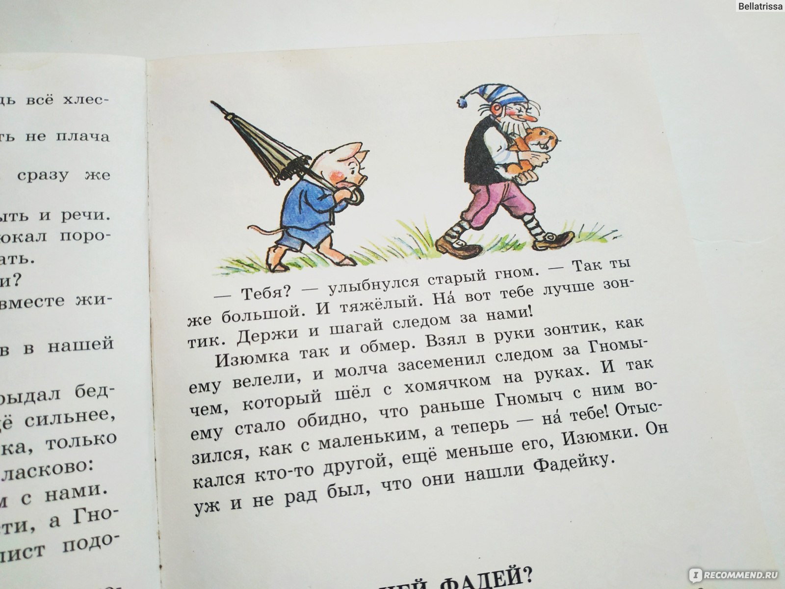 Балинт гном гномыч и изюмка. Агнеш Балинт Гном Гномыч и Изюмка. Балинт а. "Изюмка и Гном". Сказка Гном Гномыч и Изюмка. Гном Гномыч и Изюмка книга.