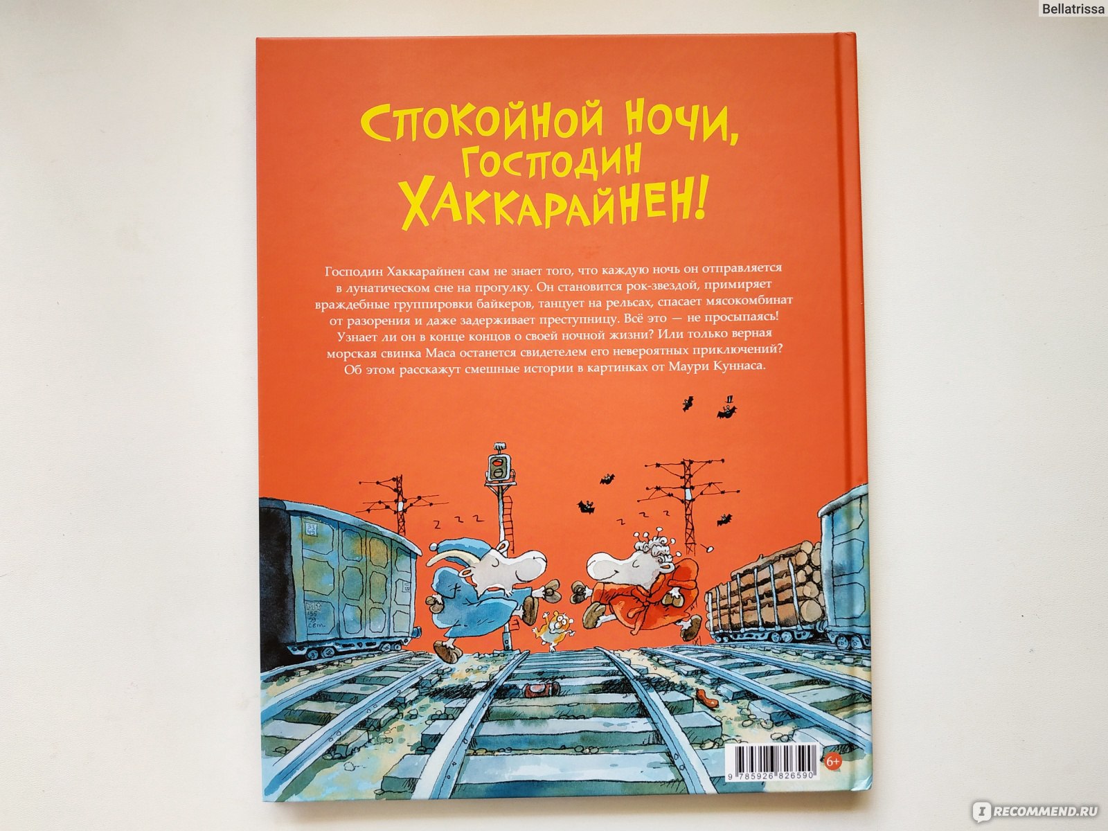 Спокойной ночи, господин Хаккарайнен. Куннас Маури, Куннас Тарья - «Ночь.  Улица. Фонарь. И настоящий лунатик на прогулке 🌔» | отзывы