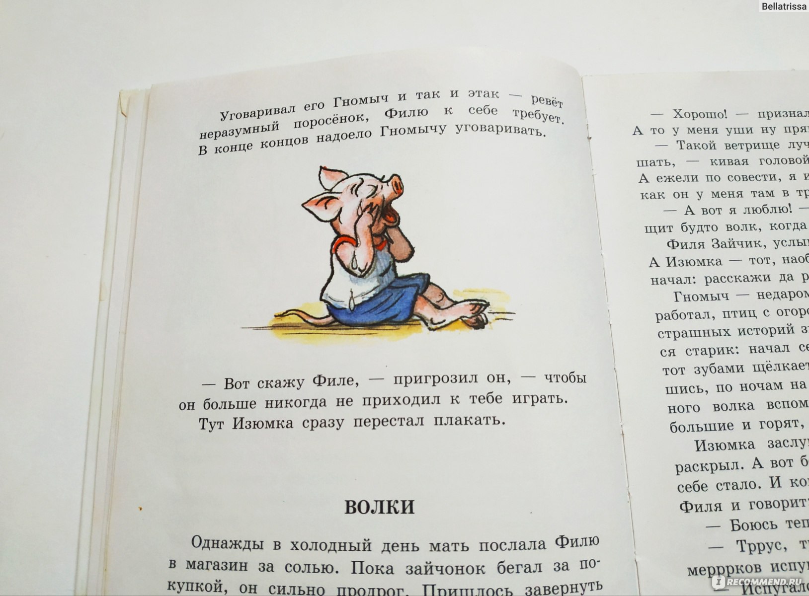 Гном Гномыч и Изюмка. Агнеш Балинт - «Ещё одна любимая книжка из детства ❤️  С рисунками Сутеева!» | отзывы