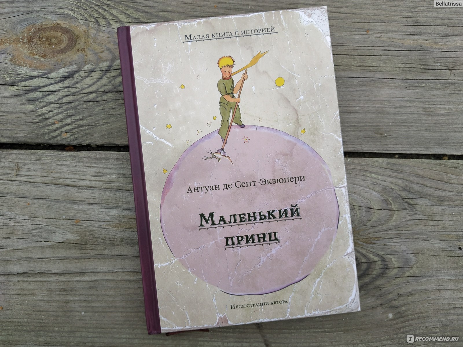 Маленький принц, Антуан де Сент-Экзюпери - «Можете кидаться помидорами, но  книга меня не зацепила. 