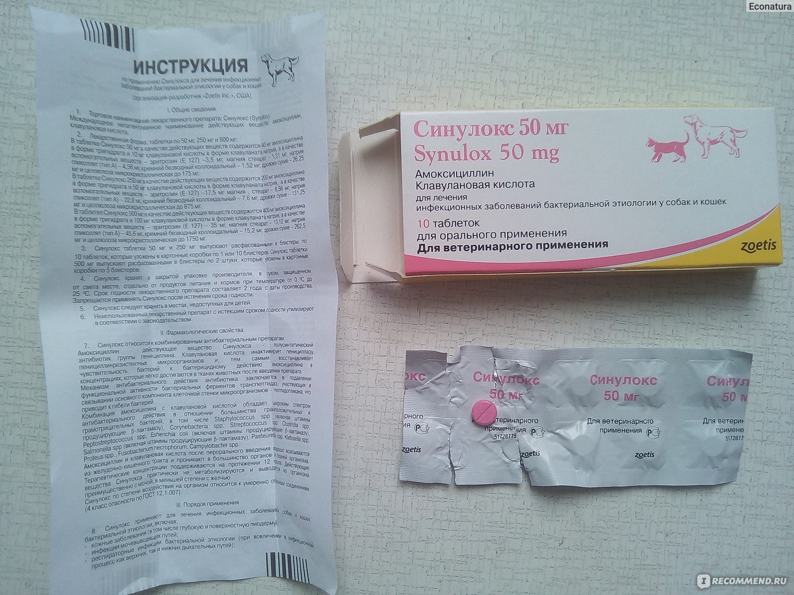 Антибиотики для собак в таблетках фото