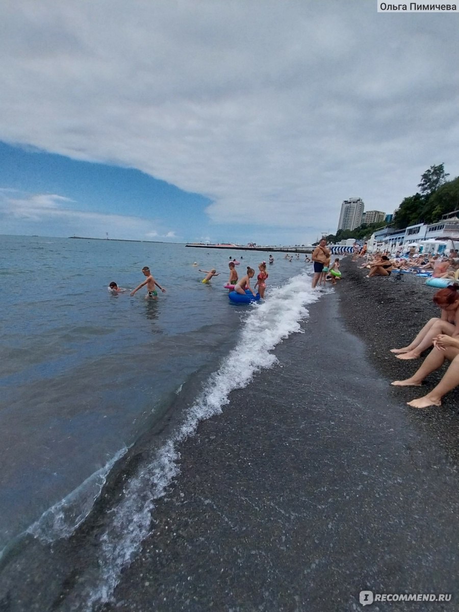 крылья балтики пляж в адлере