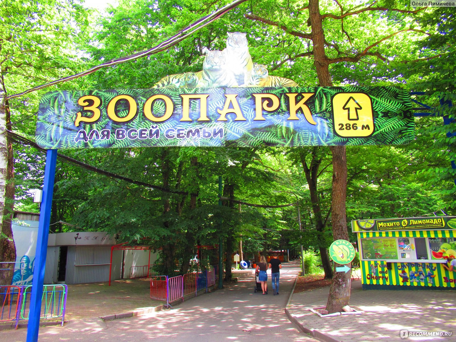 Ставрополь парк Победы Пальма