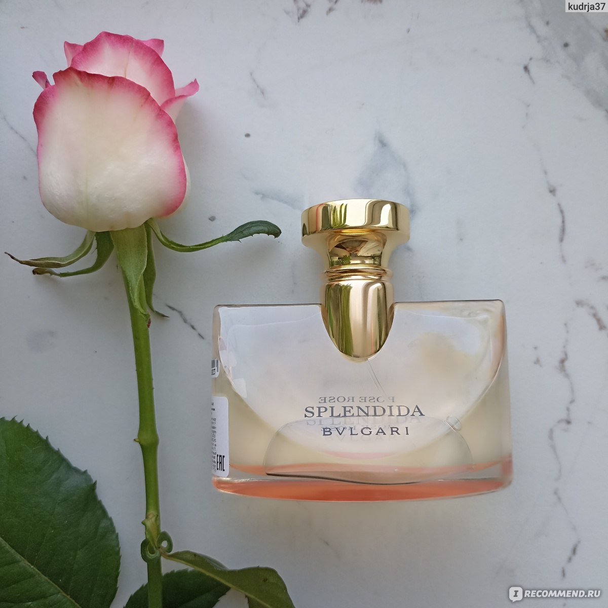 Bvlgari Splendida Rose Rose