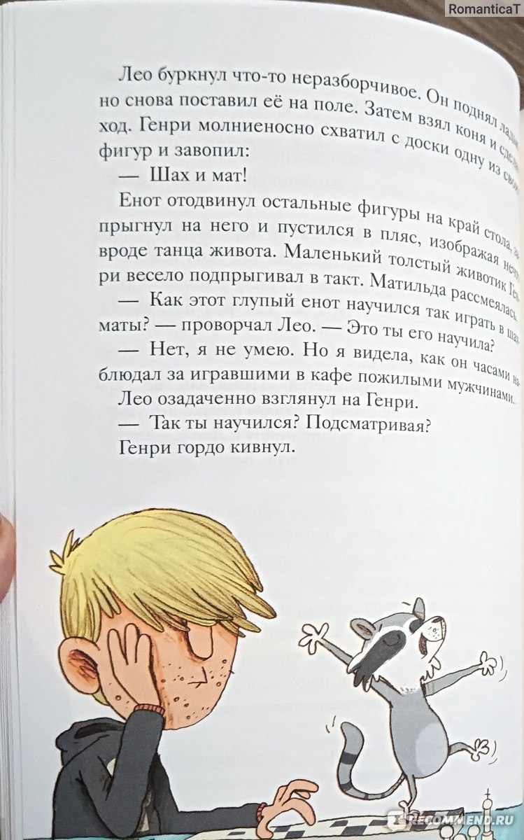 Полосатый герой. Линнеа Свенссон - «Увлекательные приключения доброго  енотика и его друзей» | отзывы