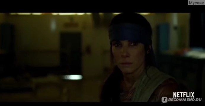 Птичий короб bird box