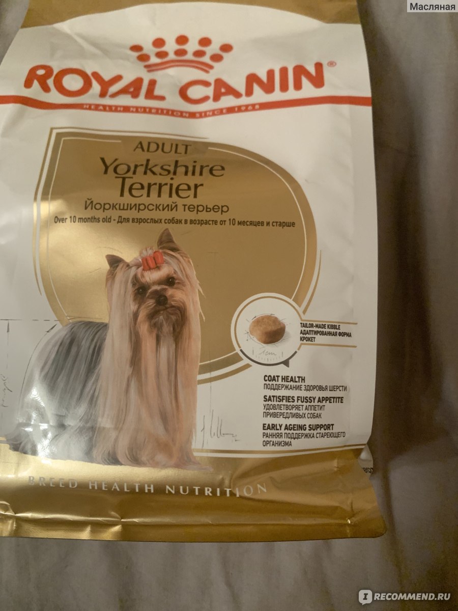 Корм для собак Royal Canin Adult Йоркширский терьер от 10 месяцев -  «Хороший корм, даже маленькая привереде согласилась есть его регулярно» |  отзывы