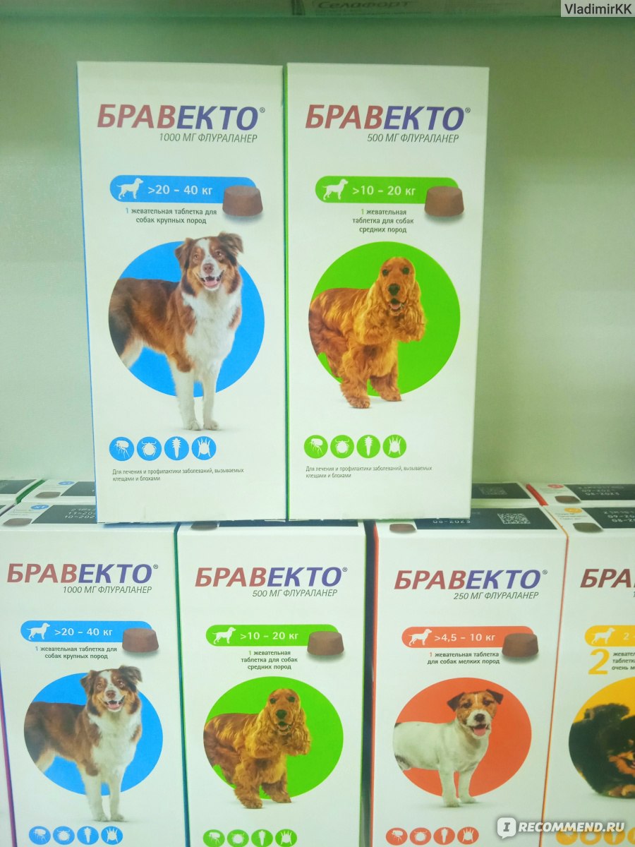 Бравекто 5 кг москва. Бравекто 20-40. Бравекто 250. Бравекто 10-20. Бравекто упаковка.
