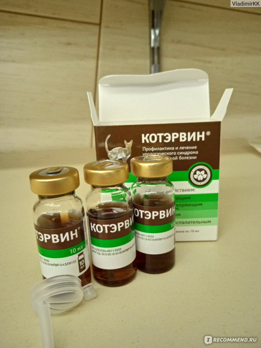Купить котэрвин для кошек