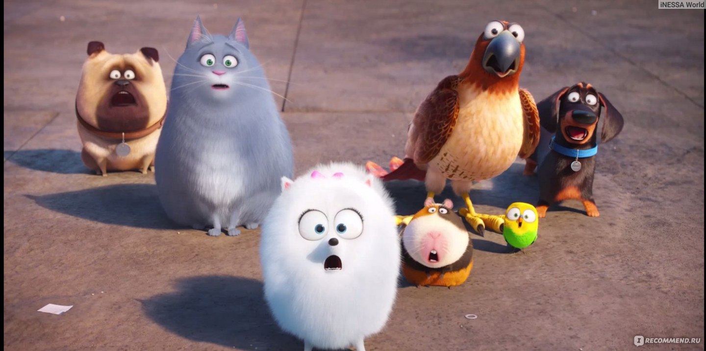 Тайная жизнь домашних животных / The secret life of pets - «Раскройте все  тайны домашних животных, сходите на этот мультик - отдохните всей семьей,  подарите своему ребёнку этот праздник очаровательных мультяшных животных❥