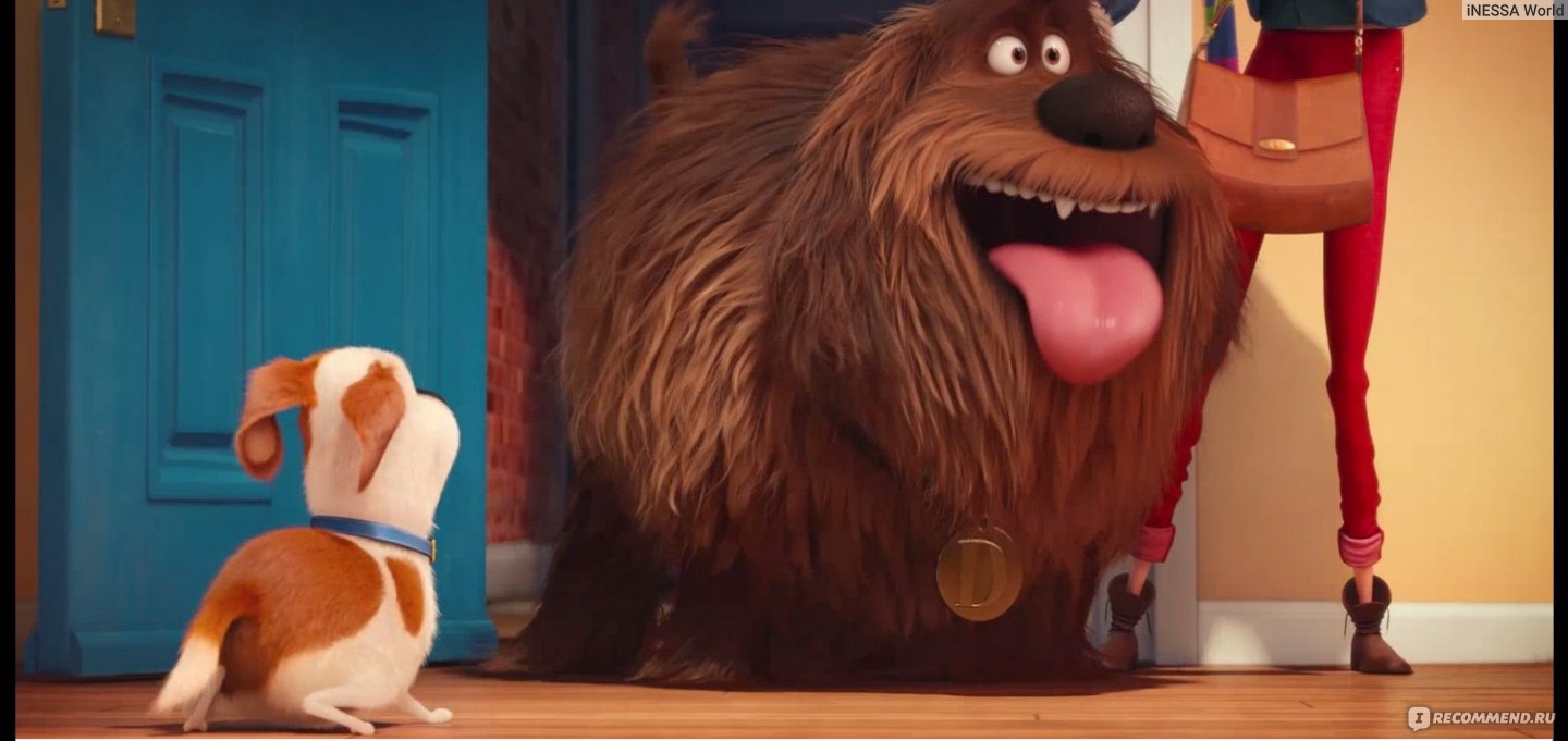 Тайная жизнь домашних животных / The secret life of pets - «Раскройте все  тайны домашних животных, сходите на этот мультик - отдохните всей семьей,  подарите своему ребёнку этот праздник очаровательных мультяшных животных❥