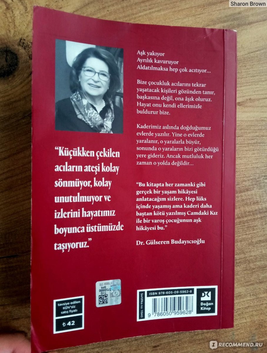 Gülseren Budayıcıoğlu Camdaki kız / Девушка за стеклом. Гюльсерен  Будайджиоглу - «По этой книге сняты два популярных турецких сериала  