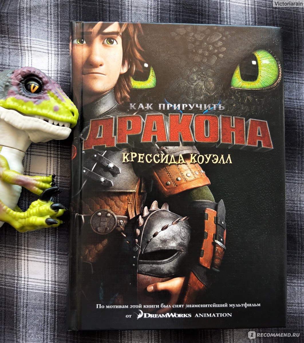 Как приручить дракона / How to Train Your Dragon, Крессида Коуэлл - «Про  глуповатых викингов и самых разных драконов. И никаких фурий. Какой он,  книжный Беззубик?» | отзывы